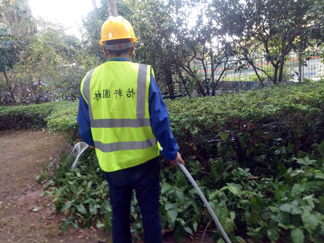 逸翠湾小区绿化养护浇水